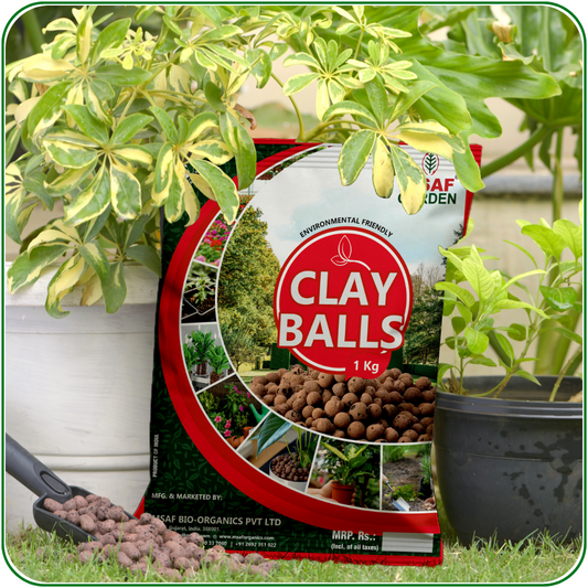 MSAF Bio Organics Clay Balls