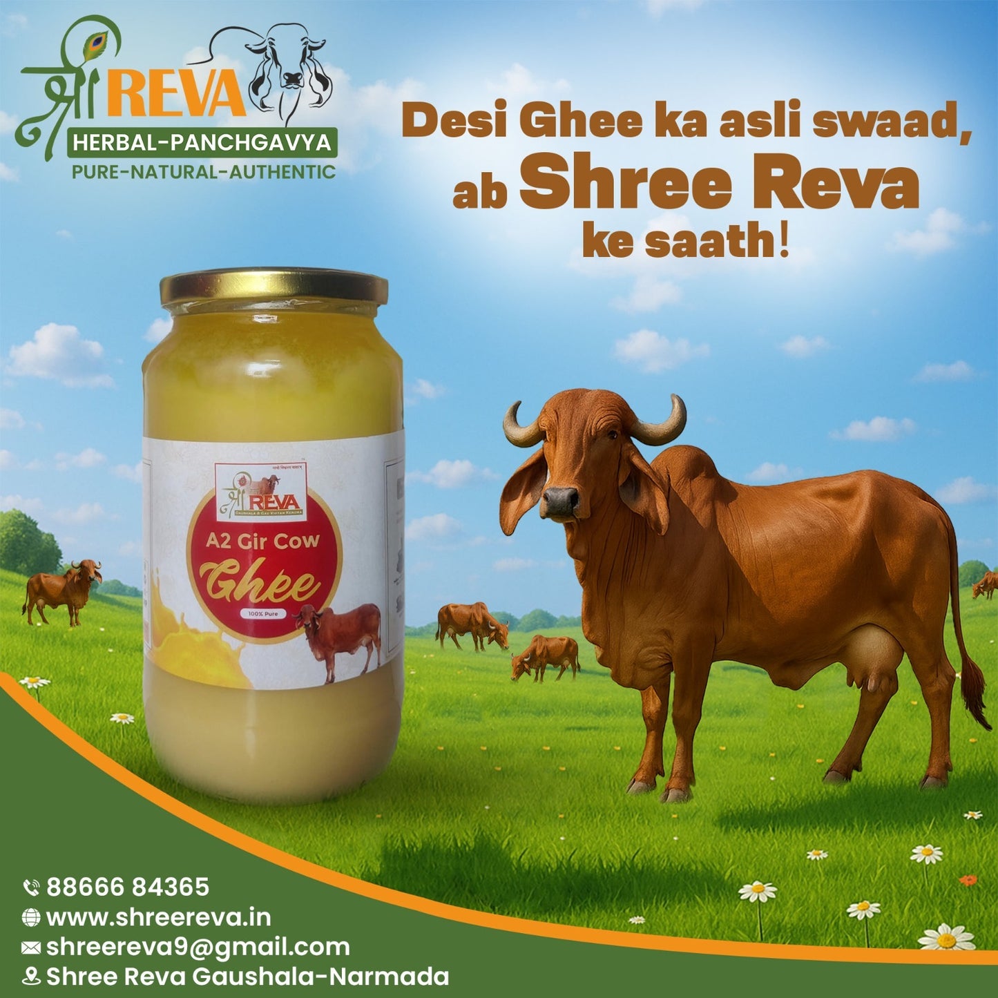 Gir Cow's A2 Ghee