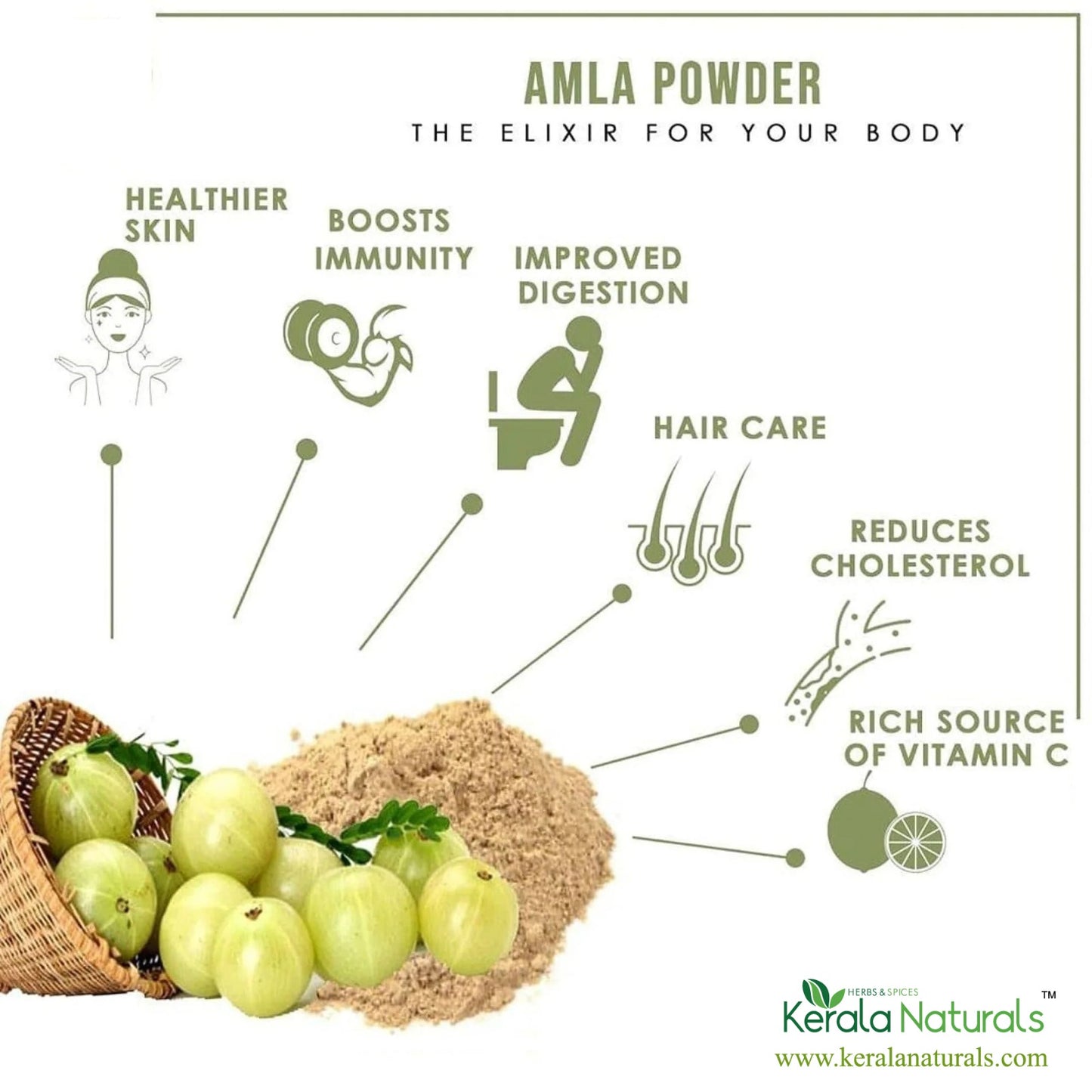 AMLA POWDER