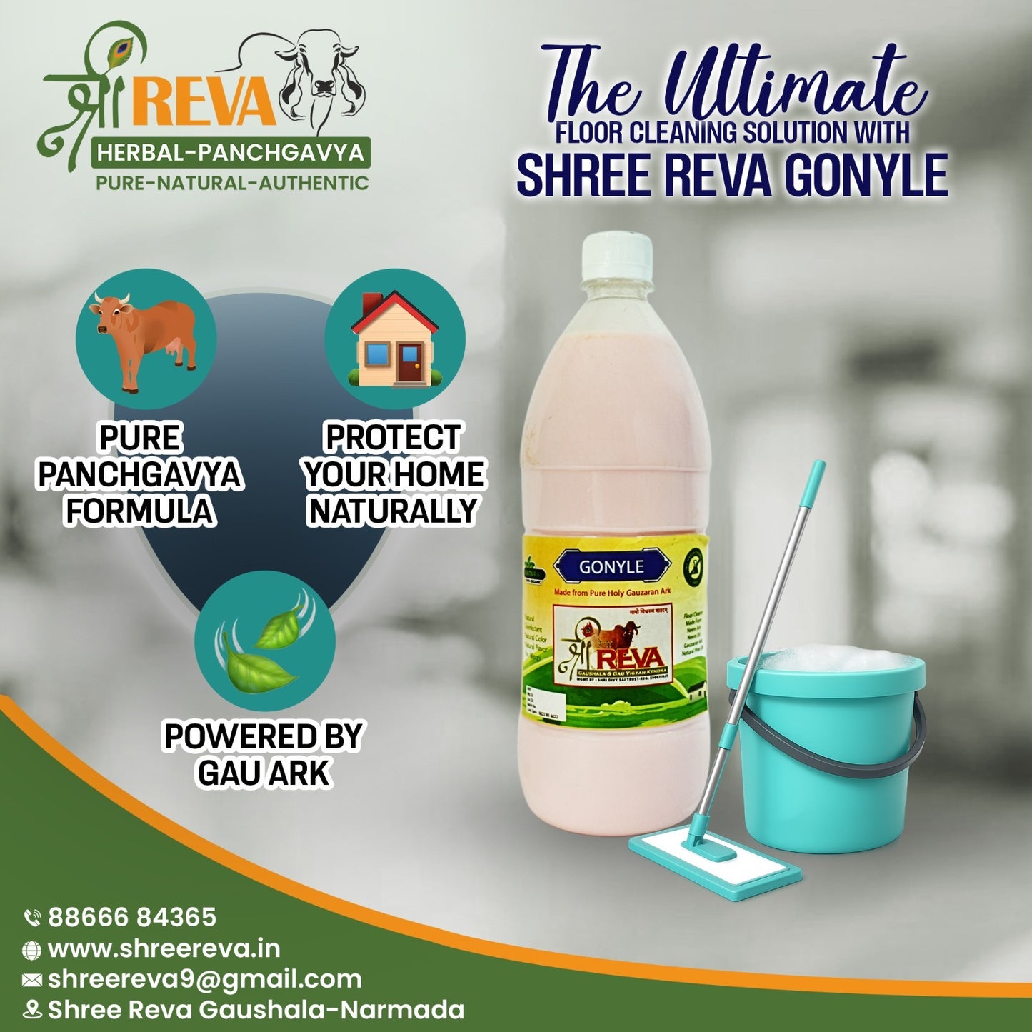 Gonyle Rose (Floor Cleaner)