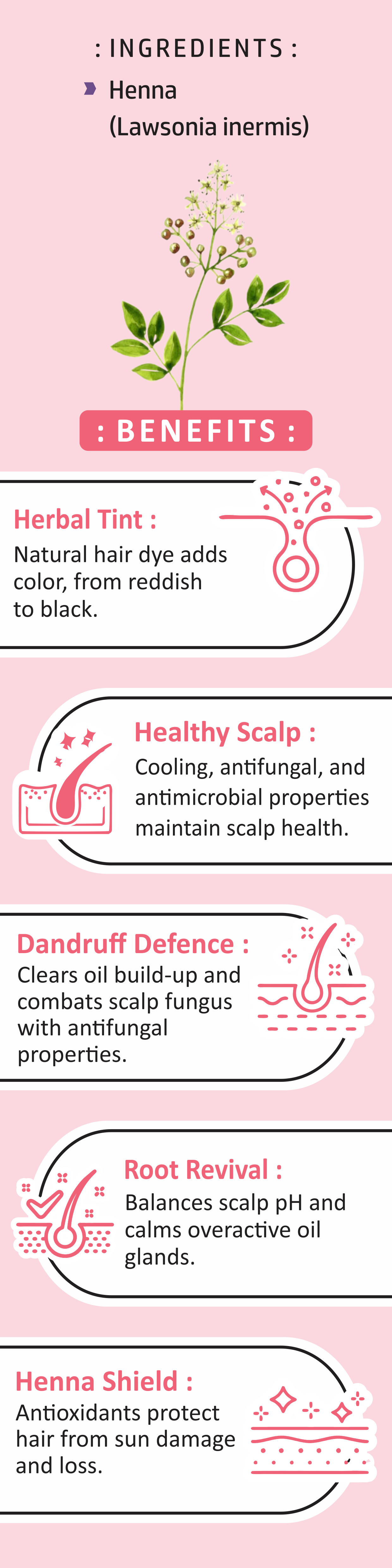 Organic Henna Leaf Powder