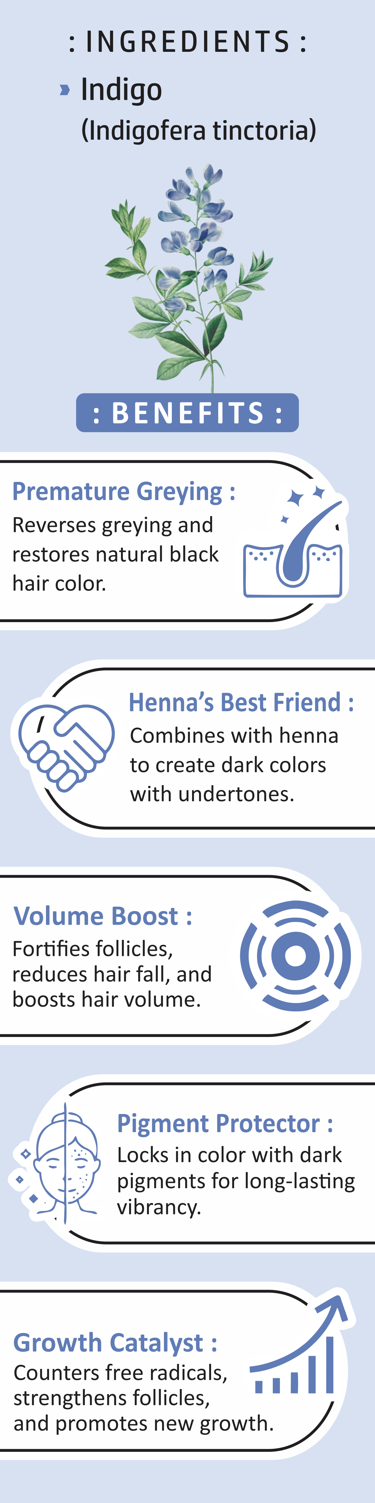 Natural Indigo Leaf Powder