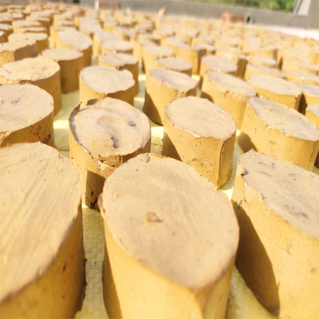 PanchGavya Organic Body Soap