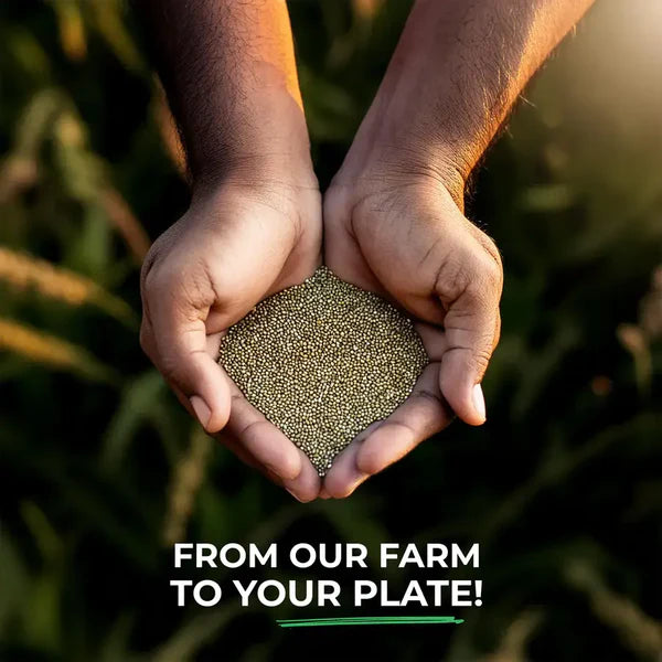 Organic Bajra Whole | Pearl Millet | Kambu