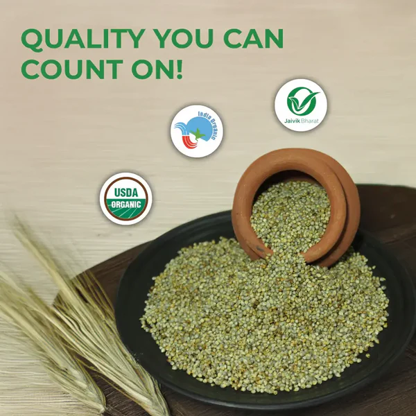 Organic Bajra Whole | Pearl Millet | Kambu