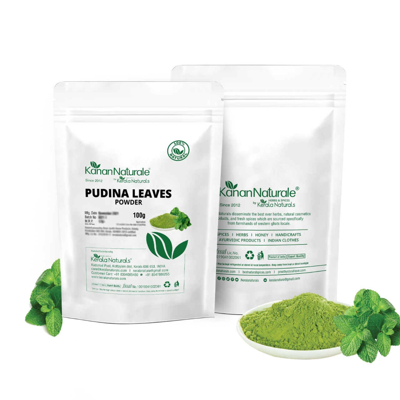 PUDINA LEAVES POWDER