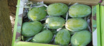 Organic Kesar Mango
