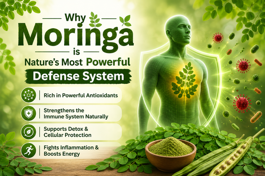 Fuel Your Immunity: Why Moringa is Nature’s Most Powerful Defense System