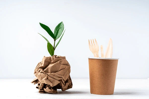 Biodegradable & Eco - Friendly Products