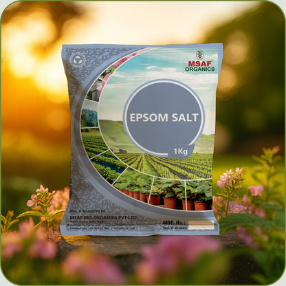 MSAF Bio Organics Epsom Salt