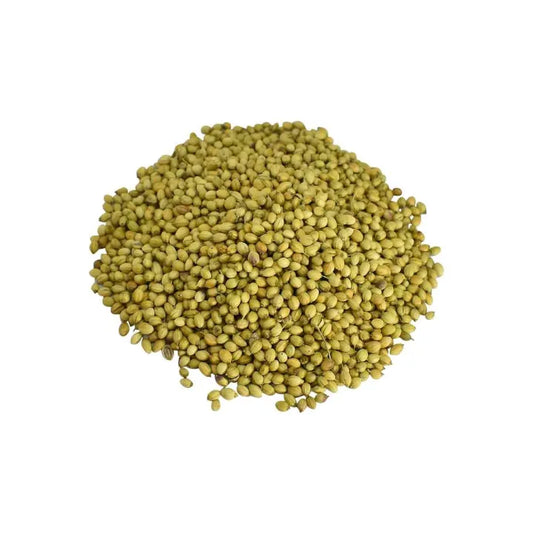 ORGANIC WHOLE CORIANDER SEED