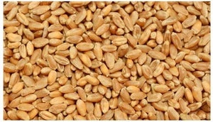 ORGANIC TUKDI WHEAT