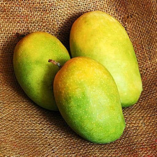 Organic Kesar Mango