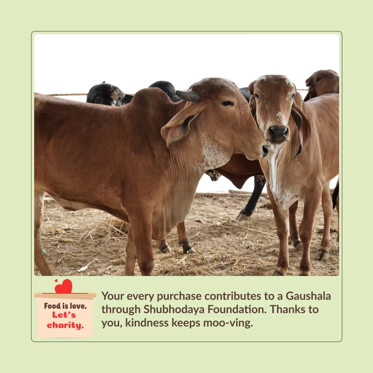 Kiddoz Kitchen Natural Jaggery Powder