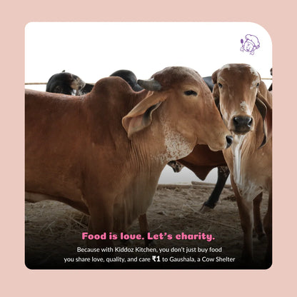 Kiddoz Kitchen Multi Millet Beetroot Dosa Mix