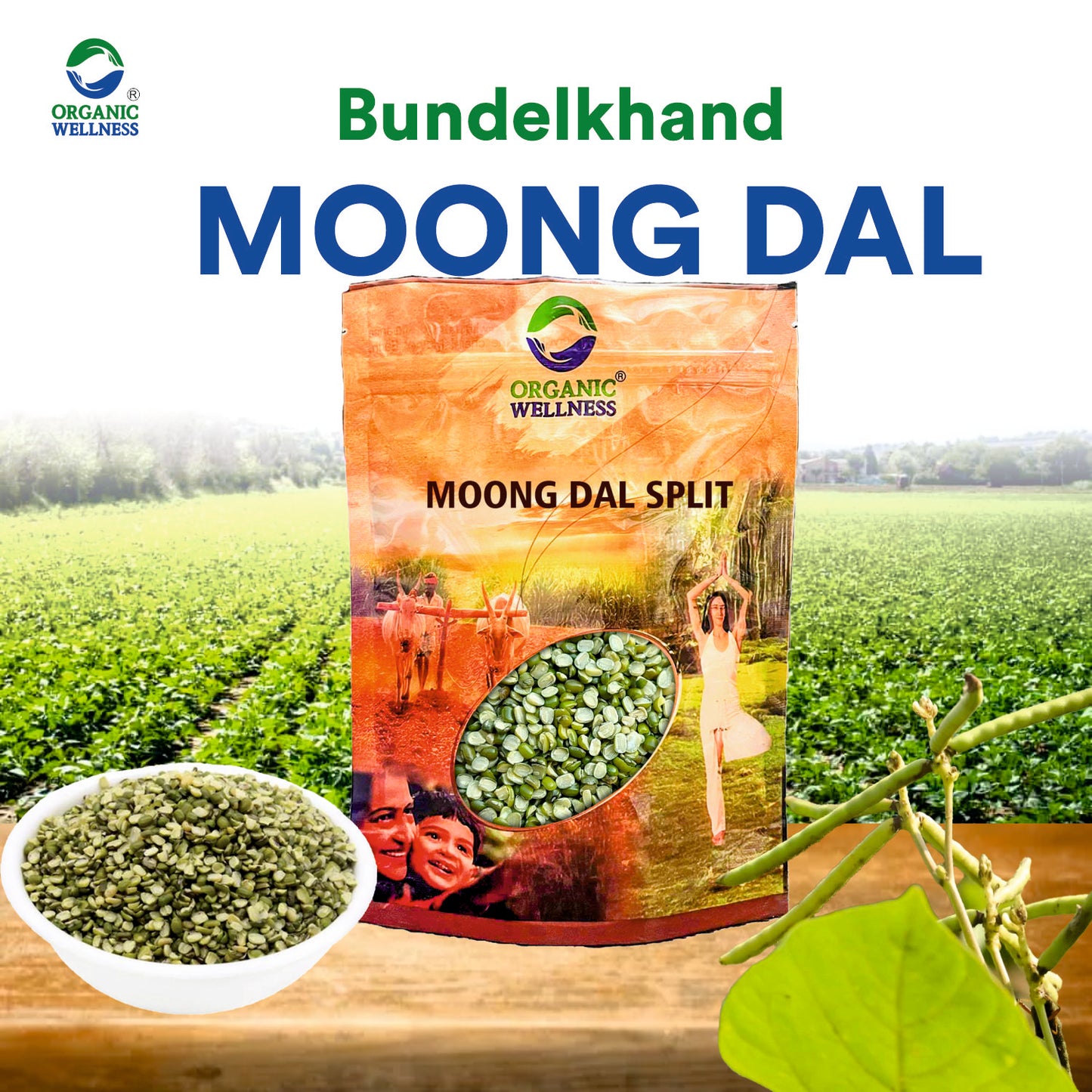 Moong Dal Split