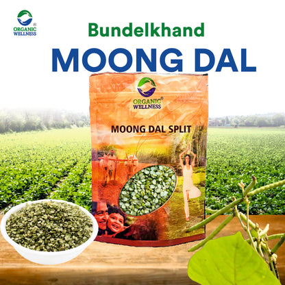 Moong Dal Split