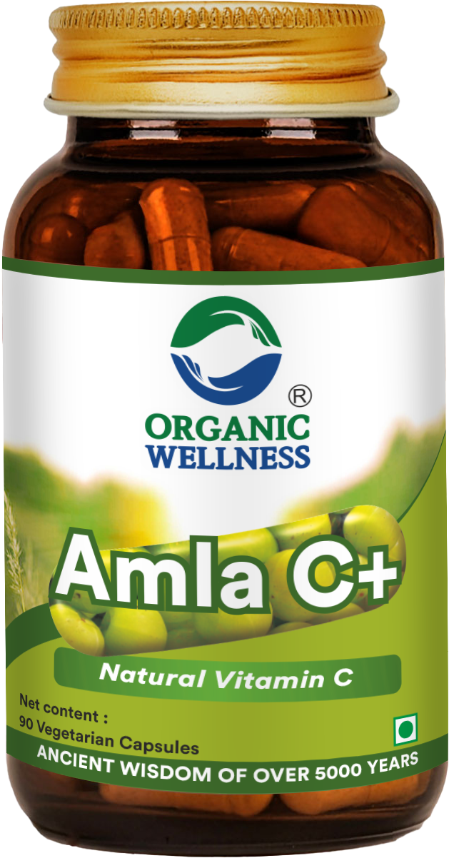 Amla C + 90 Capsules