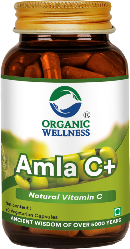 Amla C + 90 Capsules