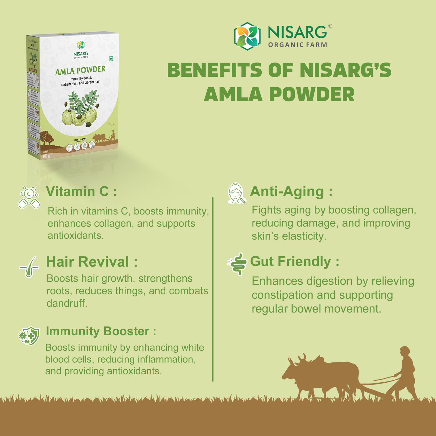 Amla Powder