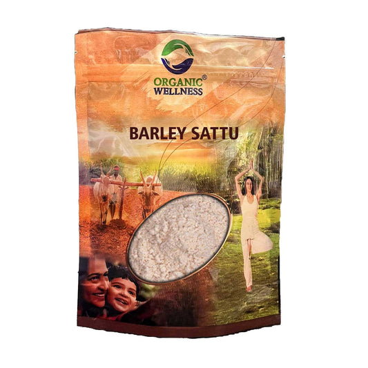 Barley Sattu (Summer Fusion)
