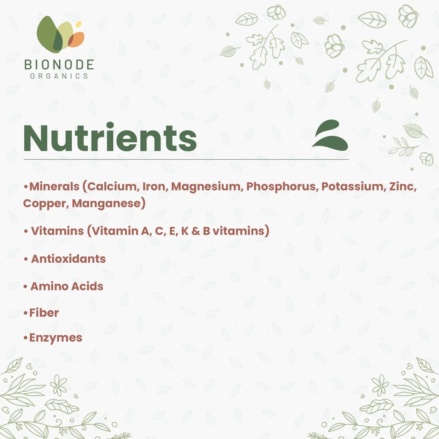 Bionode Organic Barley Grass Powder