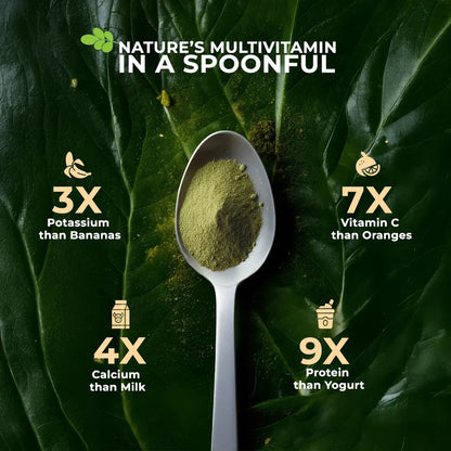 Organic Moringa Powder