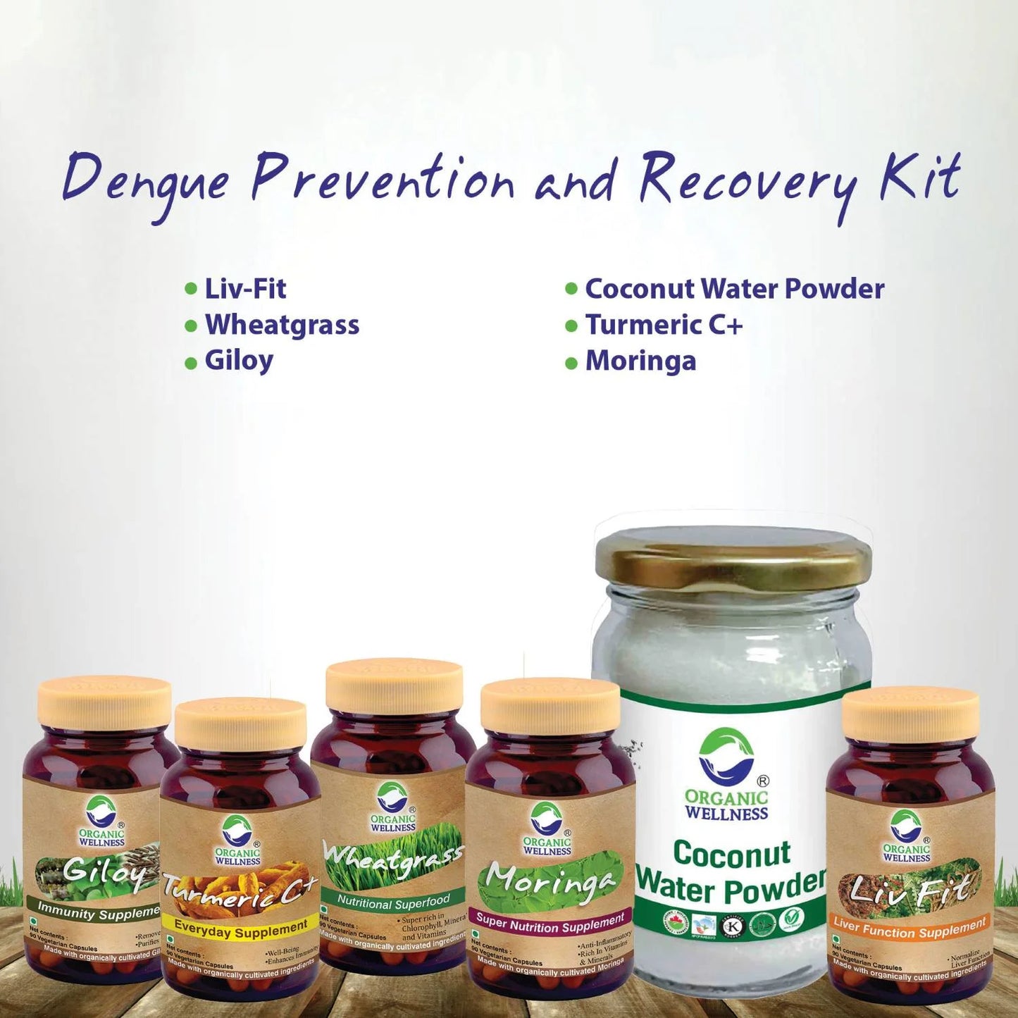 Dengue Prevention and Recovery Kit