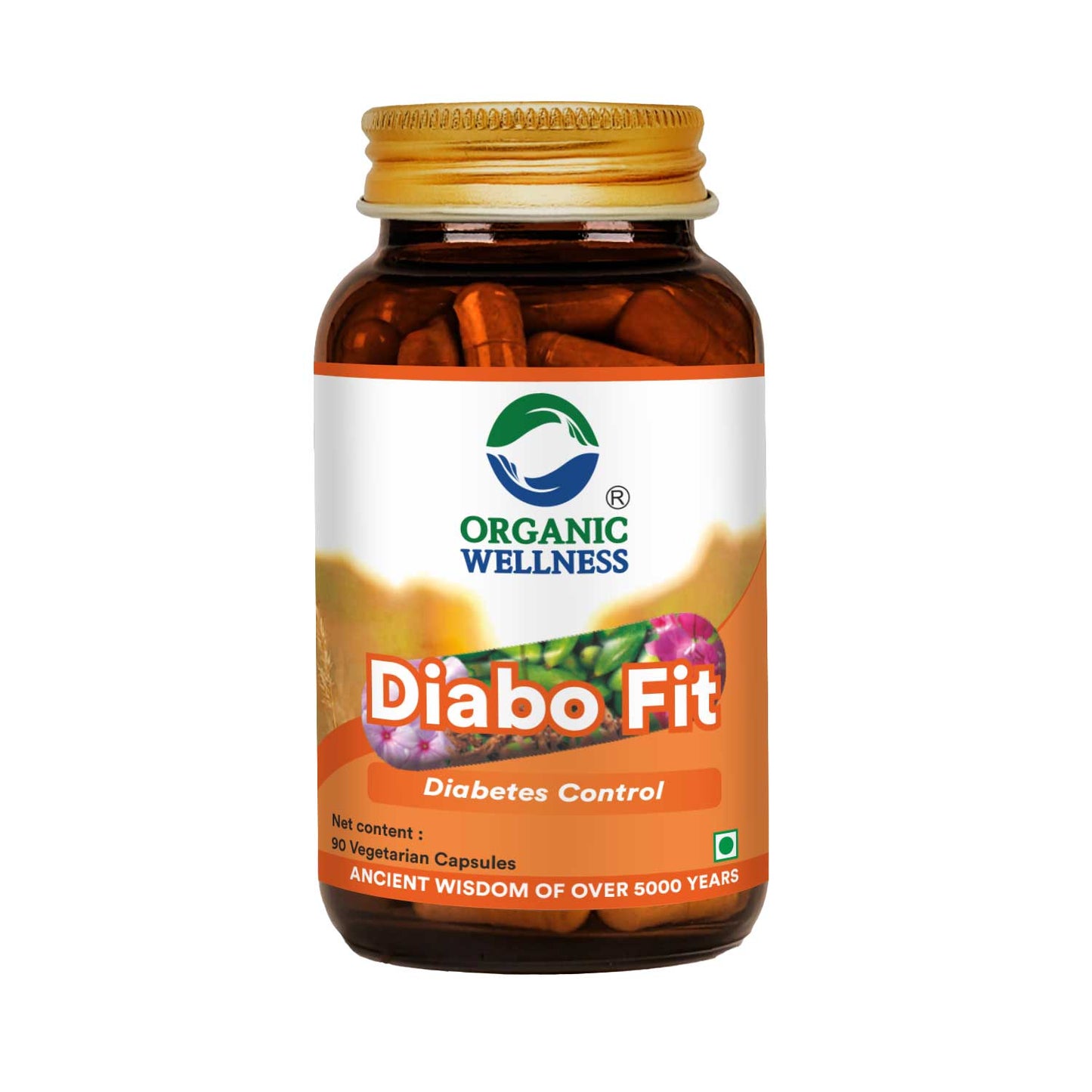 Diabo Fit 90 Capsules