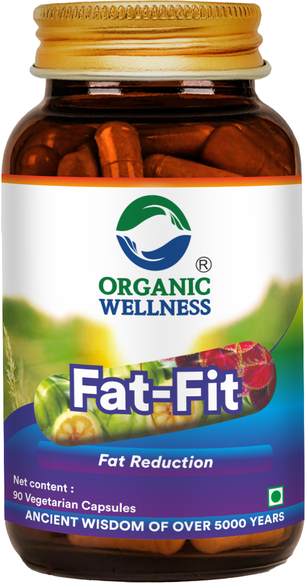 Fat Fit  90 Capsules
