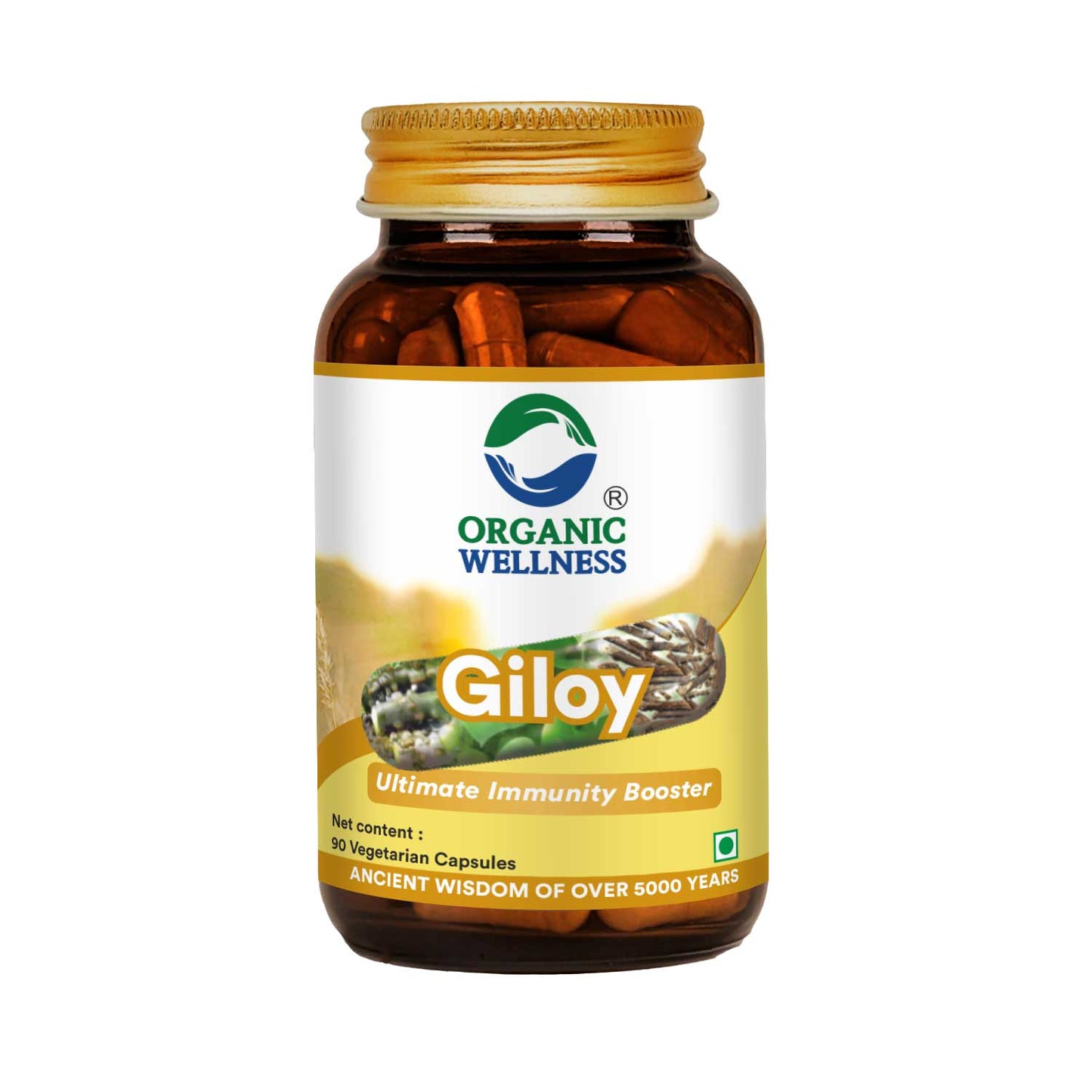 Giloy 90 Capsules