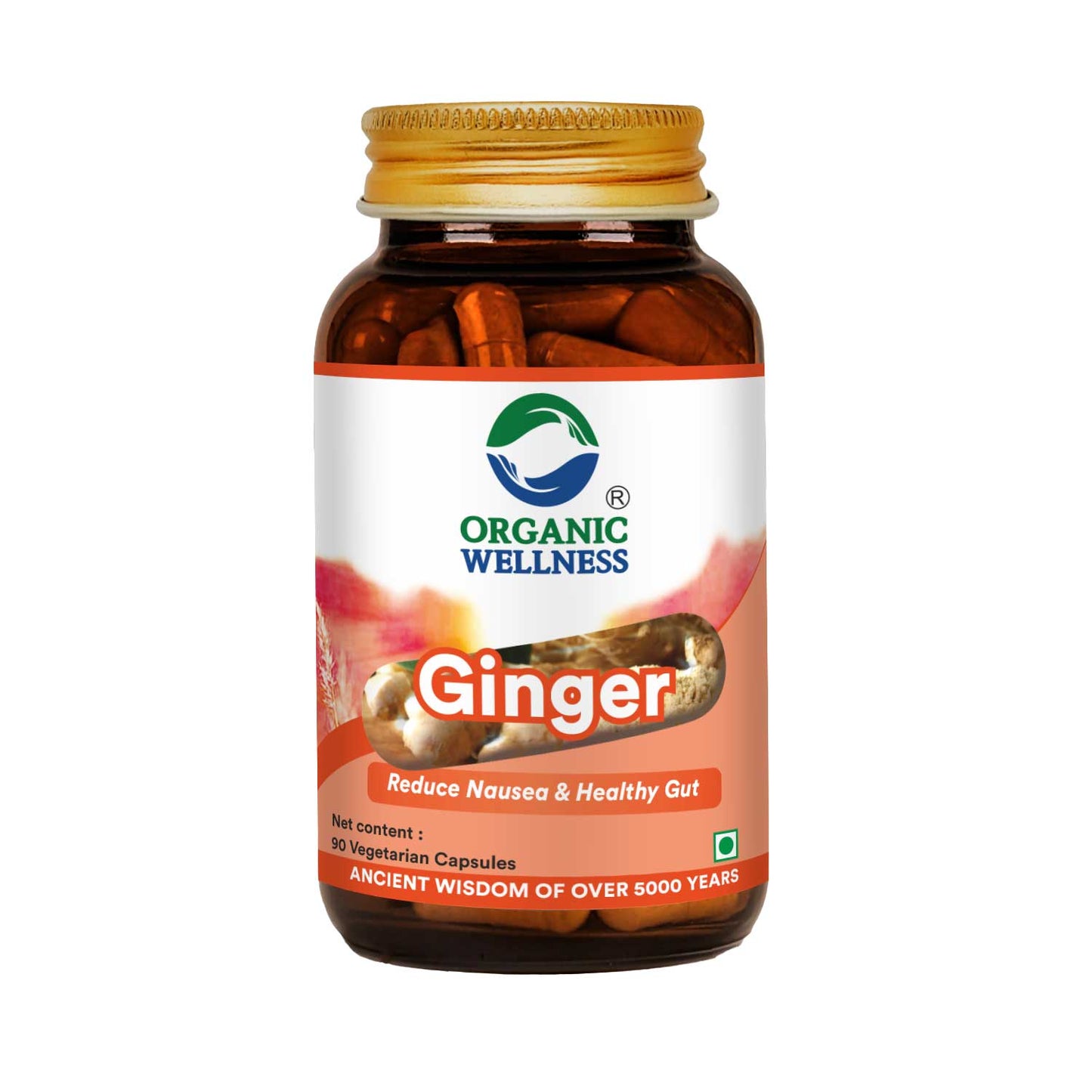 Ginger 90 Capsules