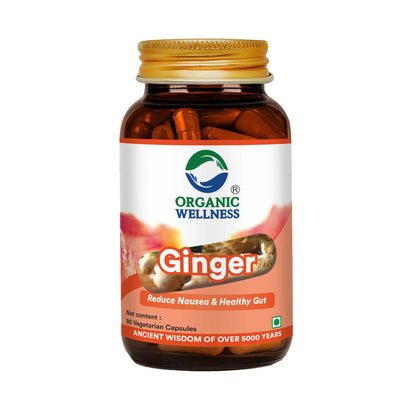 Ginger 90 Capsules