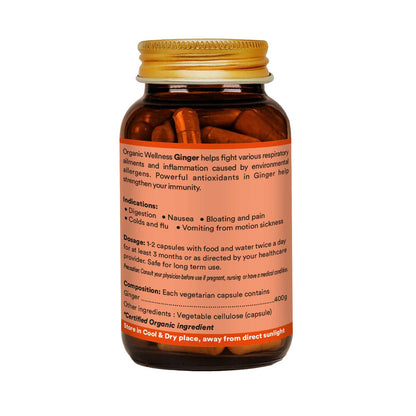 Ginger 90 Capsules