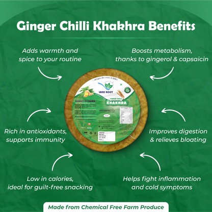 Organic Ginger Chilli Khakhra