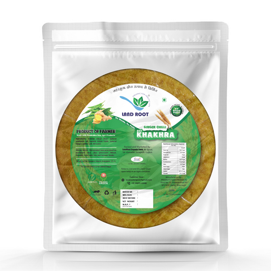 Organic Ginger Chilli Khakhra