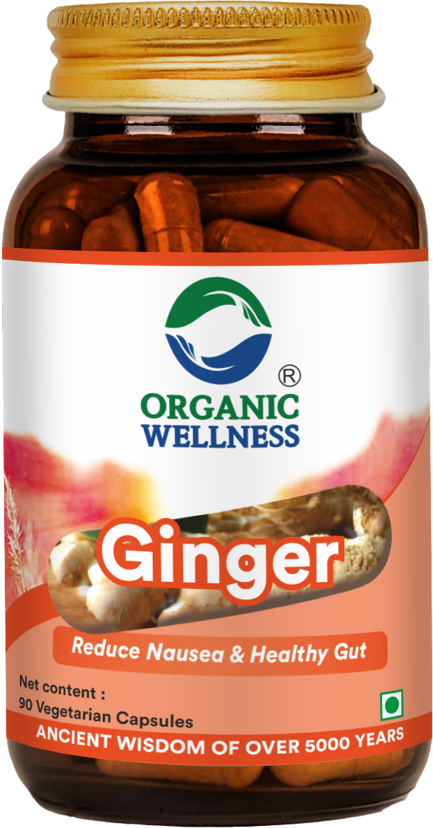 Ginger 90 Capsules