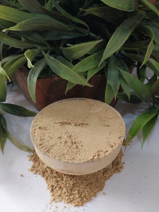 Adidev Organic farm IPM Ginger Powder