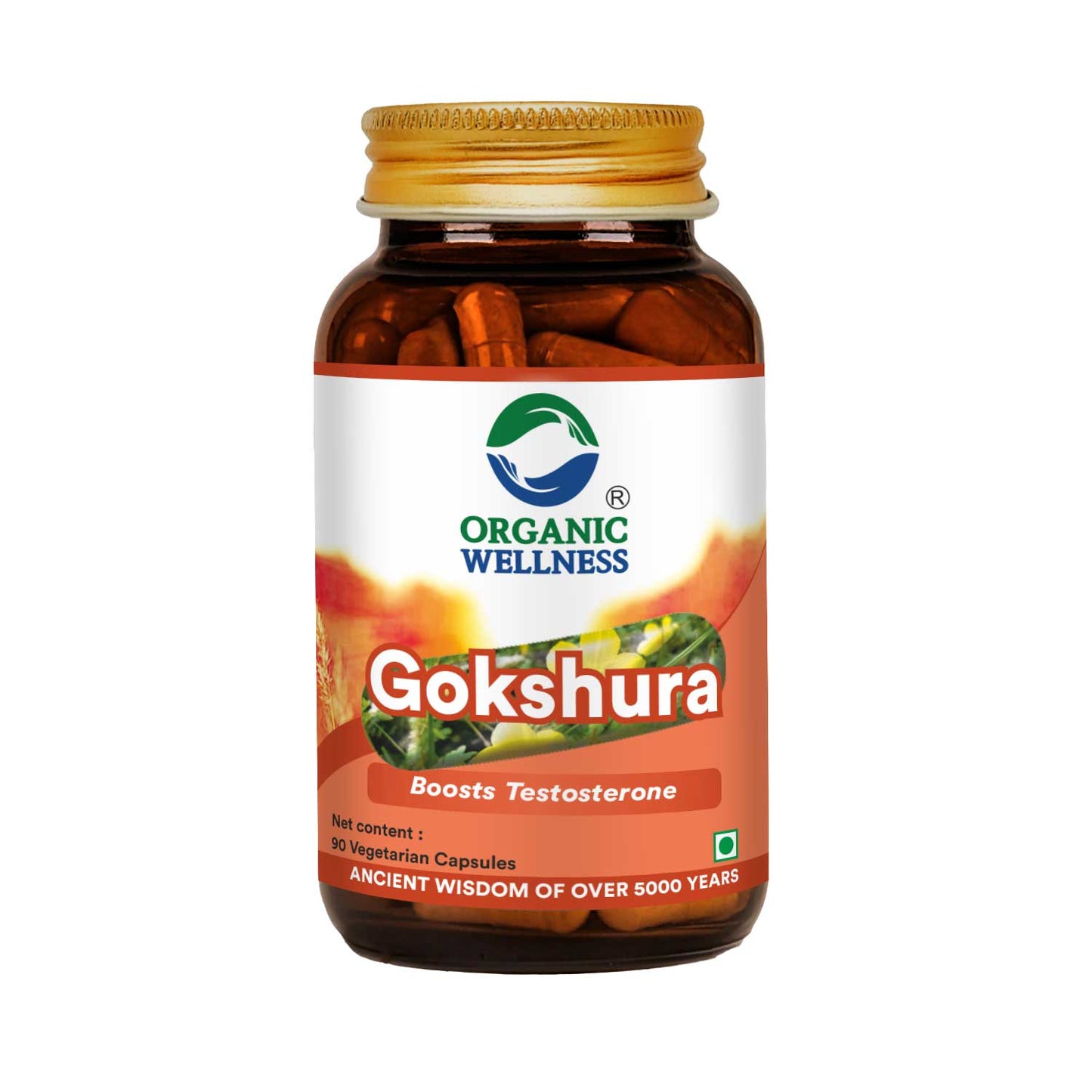Gokhshura 90 Capsules