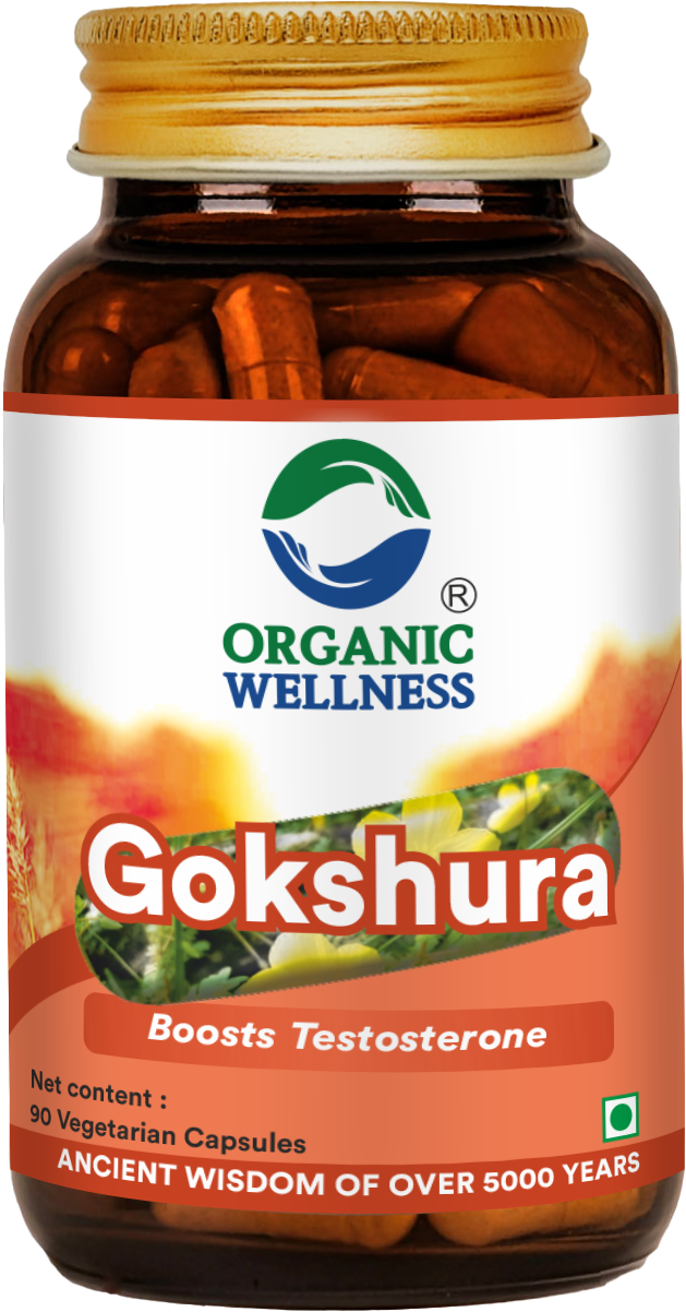 Gokhshura 90 Capsules