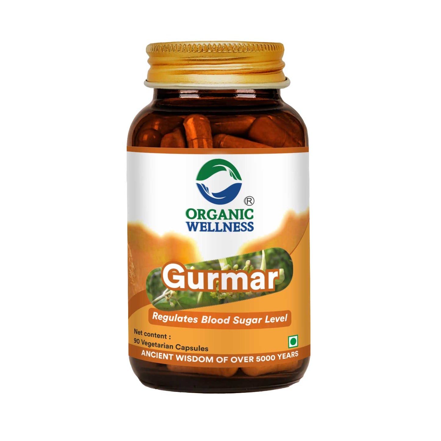 Gurmar 90 Capsules