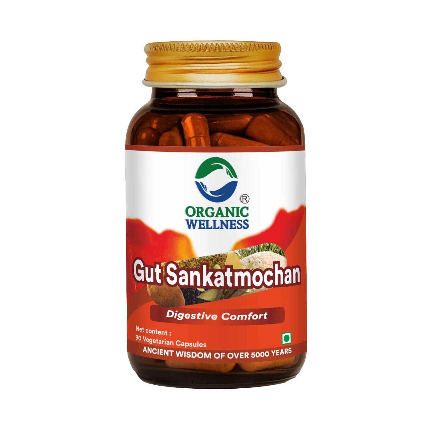 Gut Sankatmochan 90 Capsules