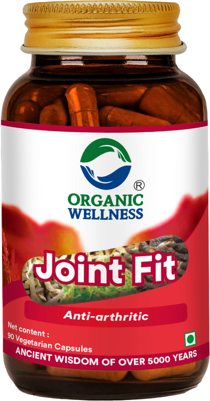Joint Fit 90 Capsules