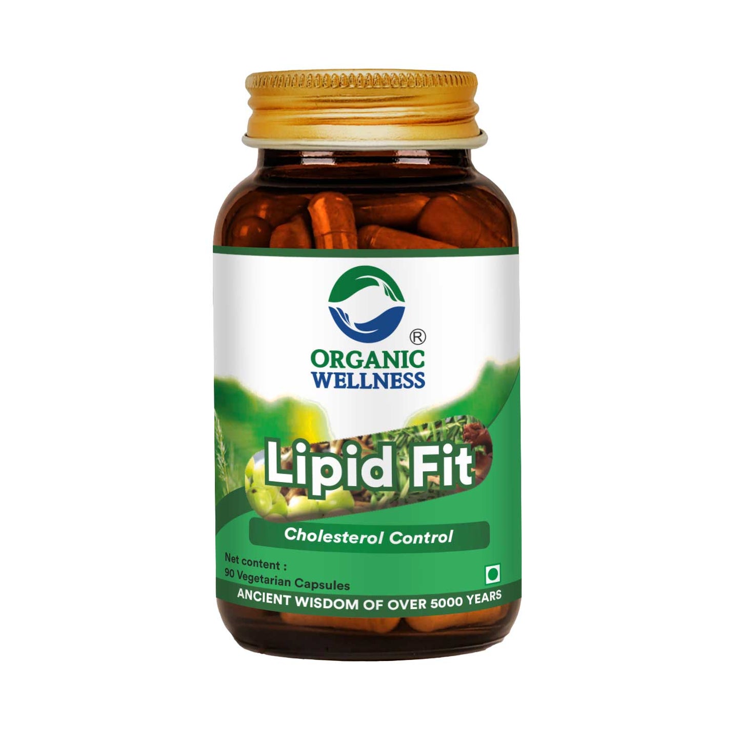 Lipid Fit 90 Capsules
