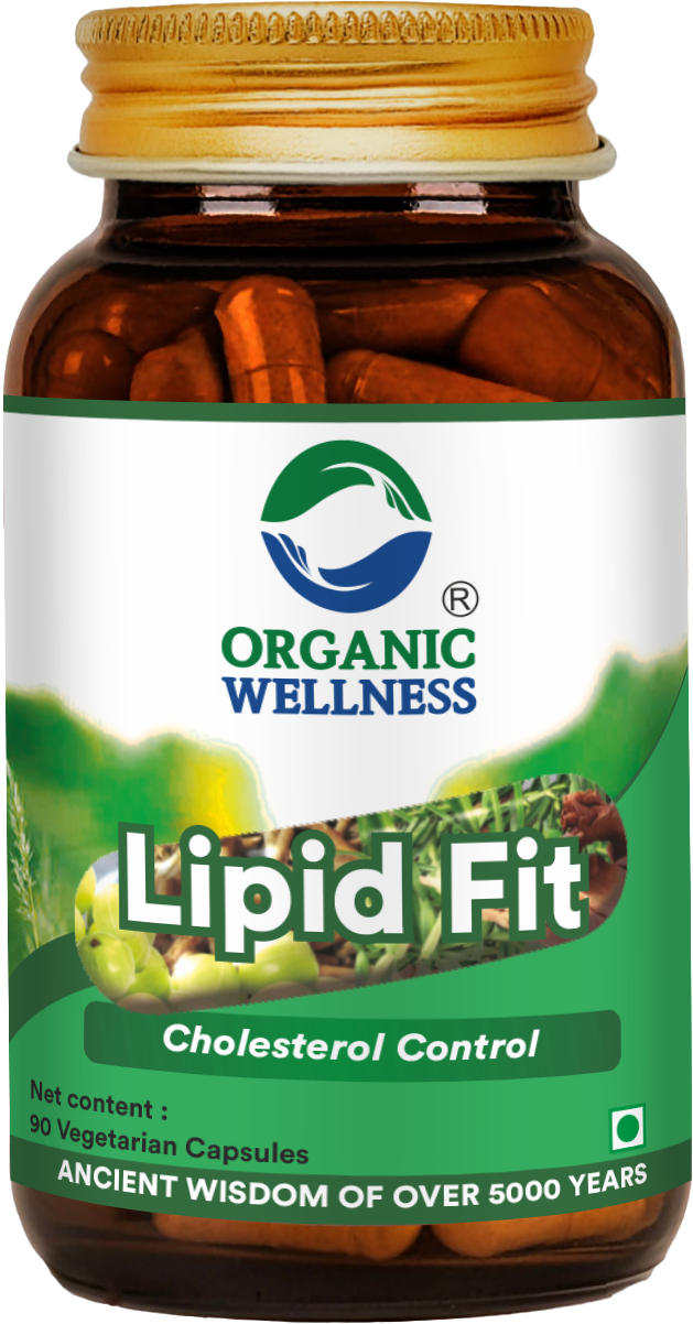 Lipid Fit 90 Capsules