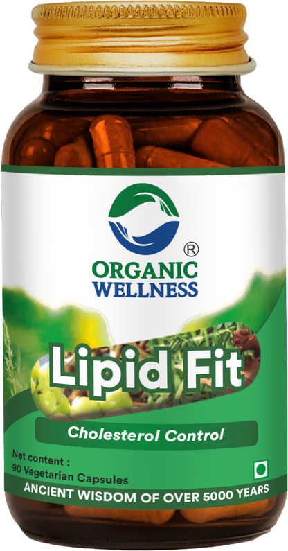 Lipid Fit 90 Capsules