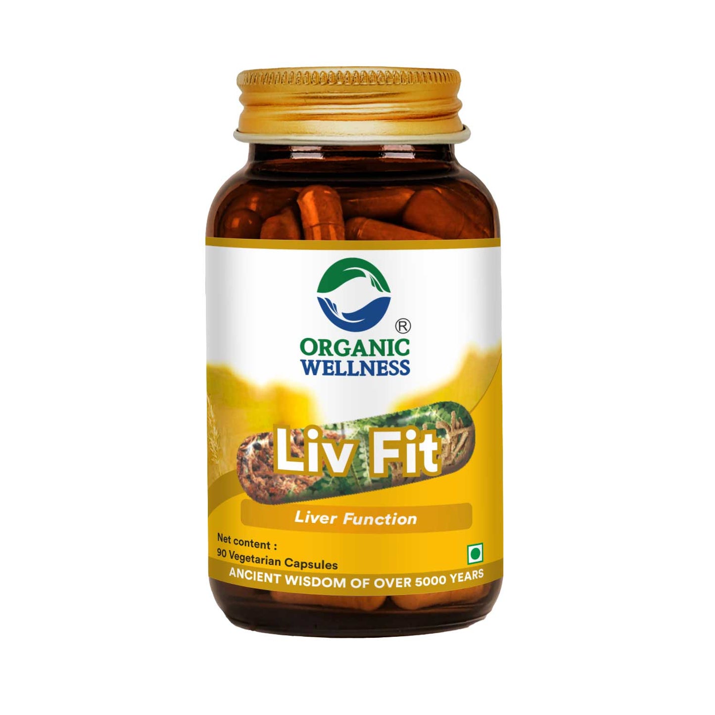 Liv Fit 90 Capsules