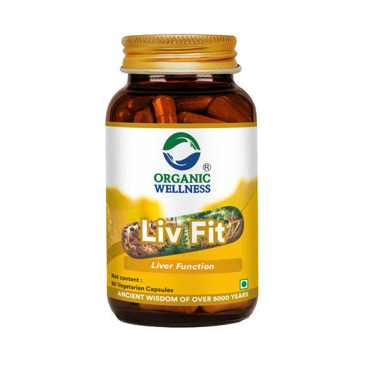 Liv Fit 90 Capsules