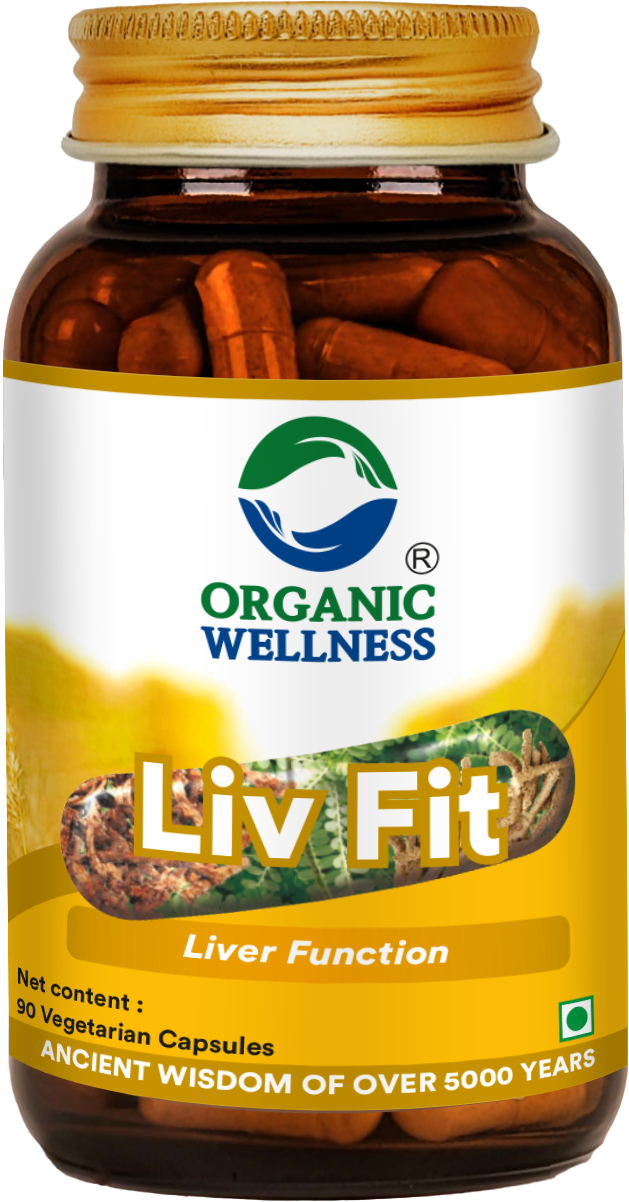 Liv Fit 90 Capsules