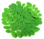 Moringa Powder